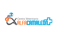 CV AlfaCamaleón