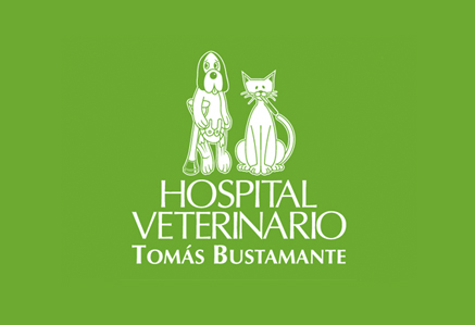 HV Tomás Bustamante